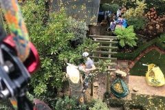 Large poplar trees removed at Putney Wharf using crane-assisted dismantling. Safe exclusion zones and full site clearance delivered. Arrange a development site quote. Crane-assisted removal of tall poplar trees on development site in Putney Wharf