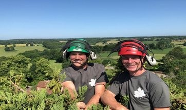 Sycamore stump grinding in Barnes to enable a new driveway build. Sub-surface grind, waste removal and site reinstatement delivered efficiently. Request a quote now. Stump grinding sycamore stump in Barnes to prepare ground for new driveway installation
