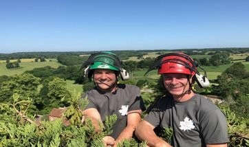 Tree Surgeons Putney | Putney Tree Surgeons Tree surgeons Putney — Putney Tree Surgeons